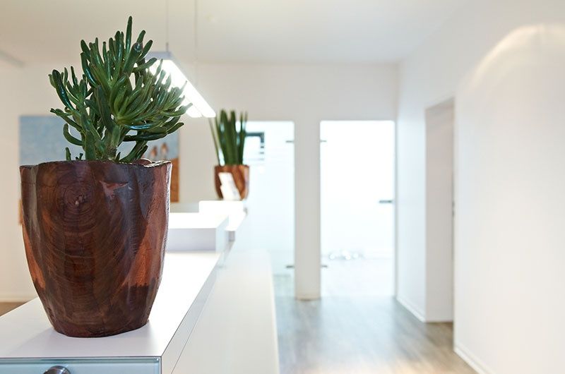 Alexander Ilbag Msc.-1