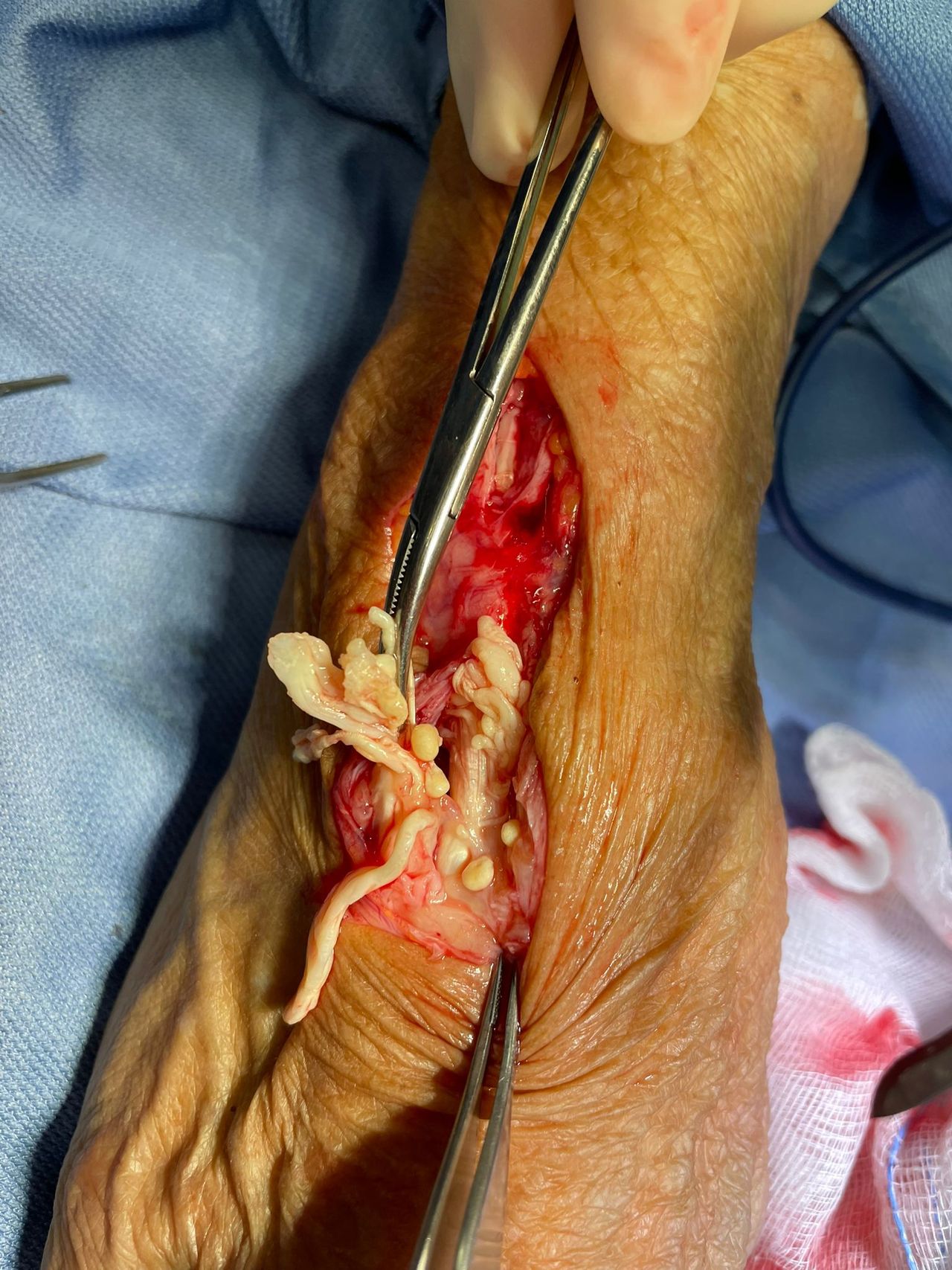 Giampaolo Monacelli-11