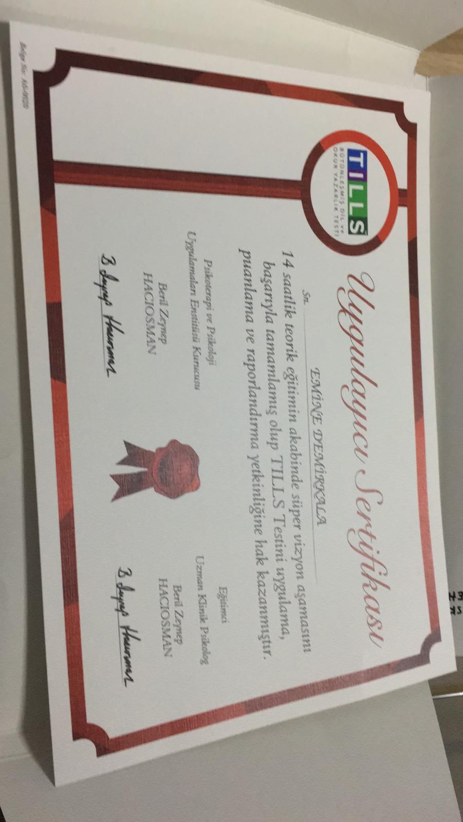 Emine Demirkala Aydemir-2