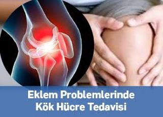 Mehmet Emre Hanay-12