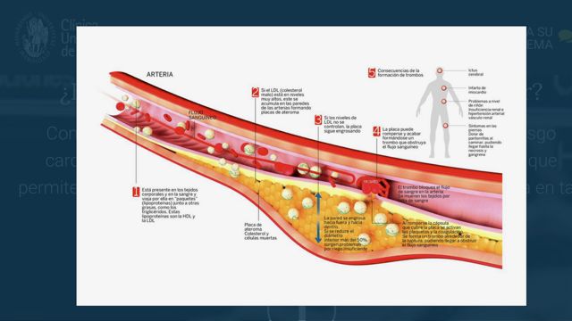Jose Calabuig Nogues-17