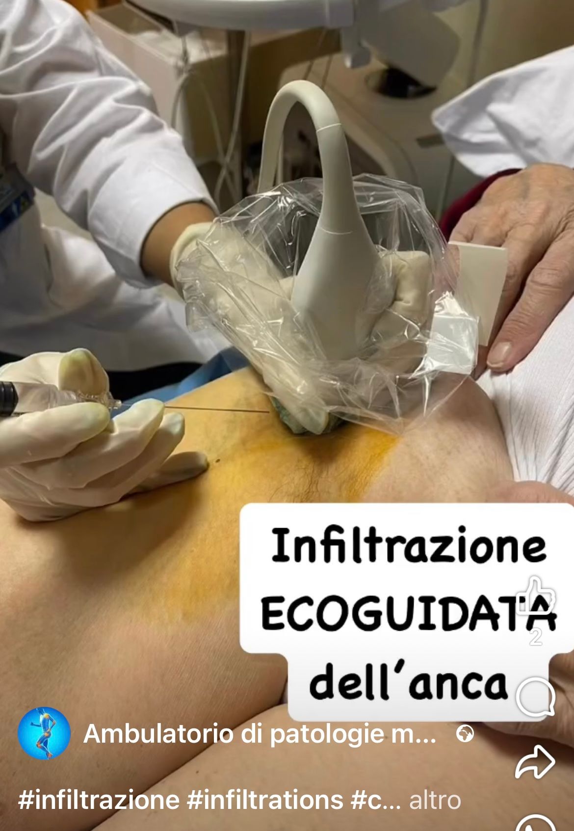 Maria Chiara Morgano-4