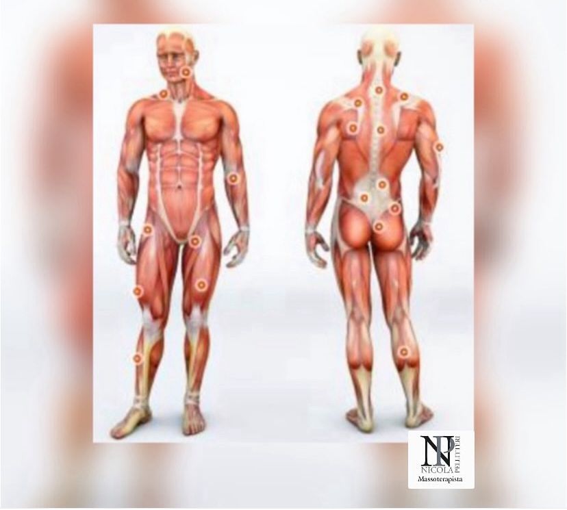 Nicola Pellitteri-15