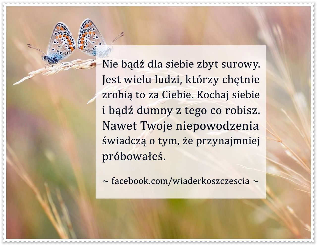 Sławomira Papis-Strucinska-0