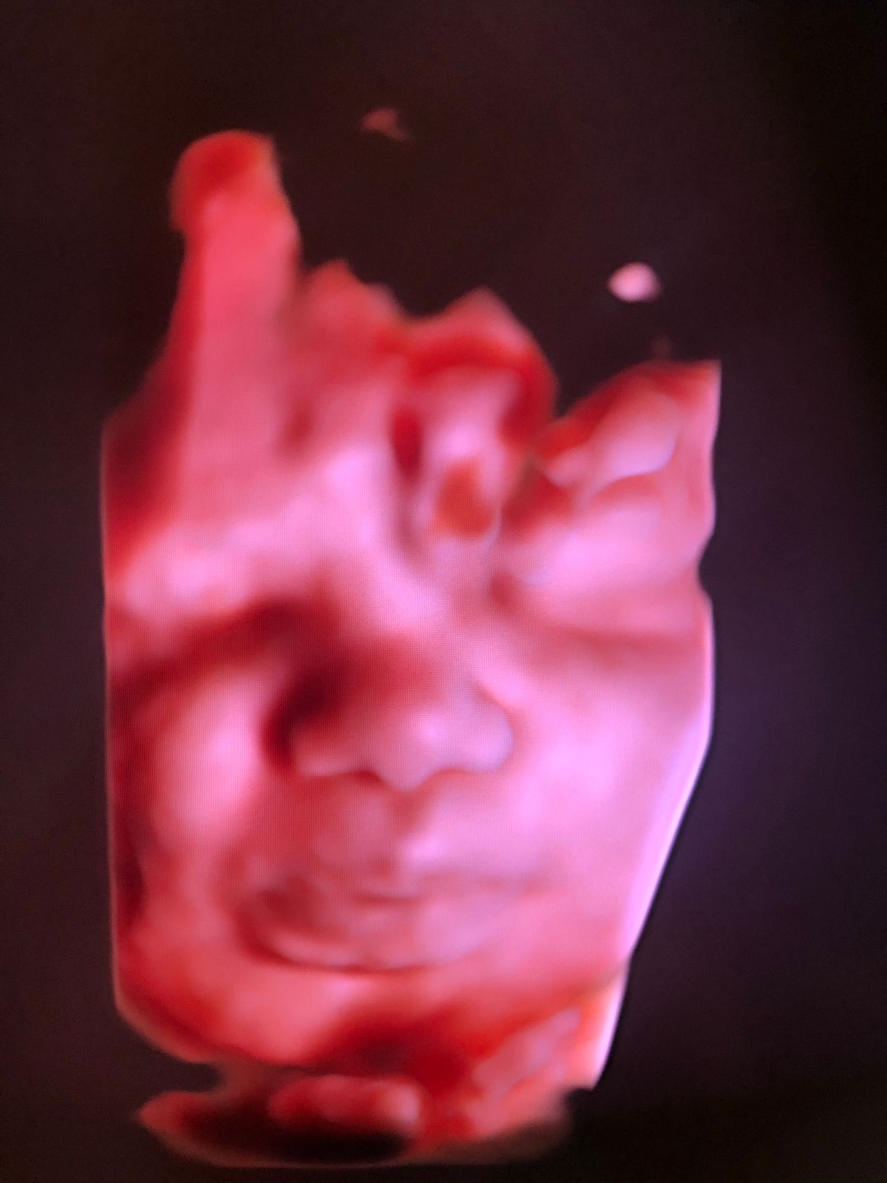 Mariella Amendolara-12