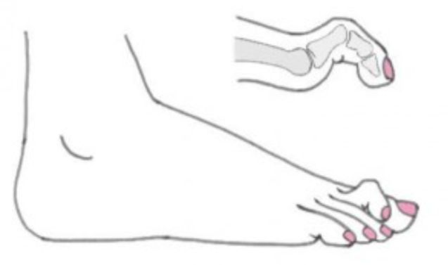 Francesca Montaquila-10