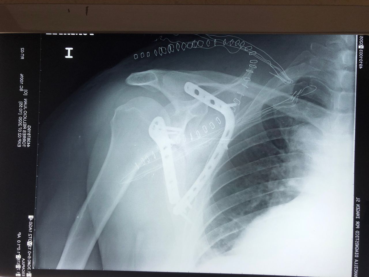 Eduardo Rodriguez-Vellando Rubio-12