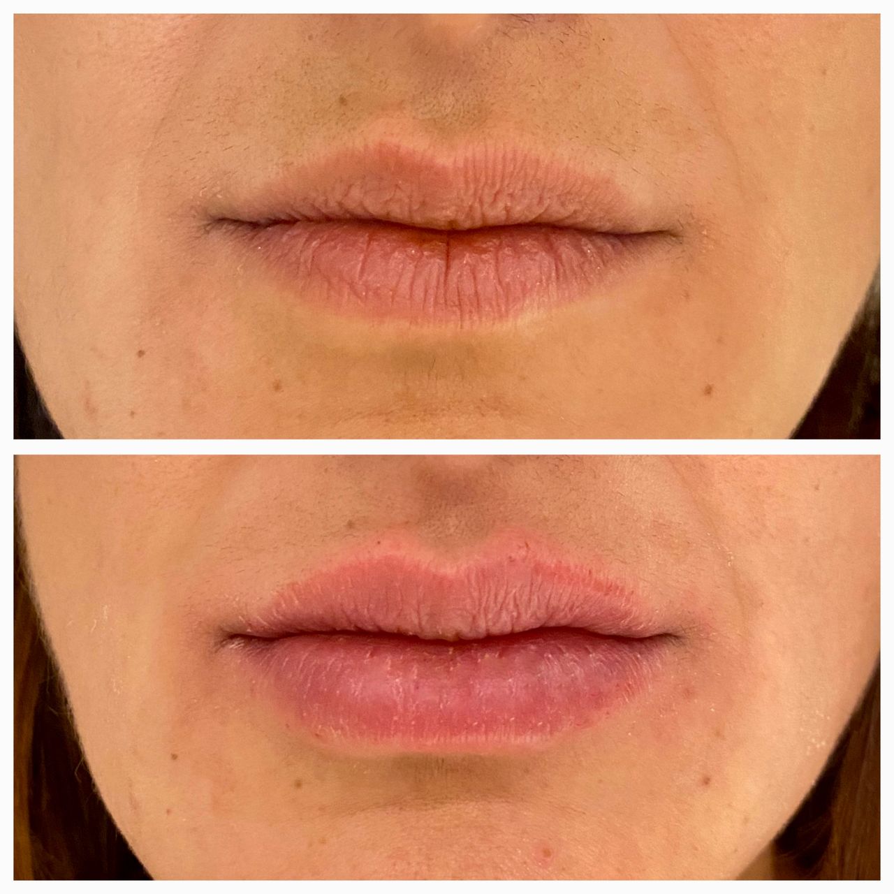 Elisabetta Fabiani-46