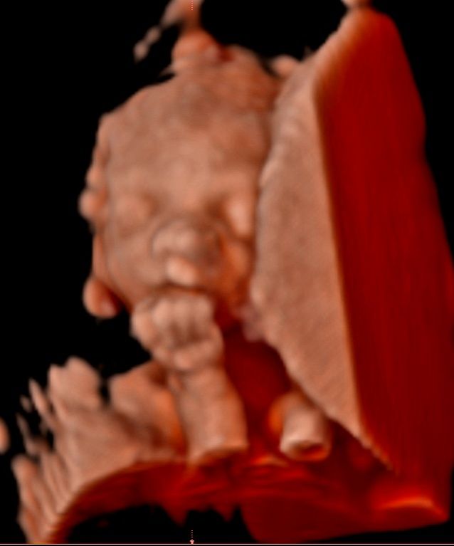 Şahver Melek Avcı Orhun-3