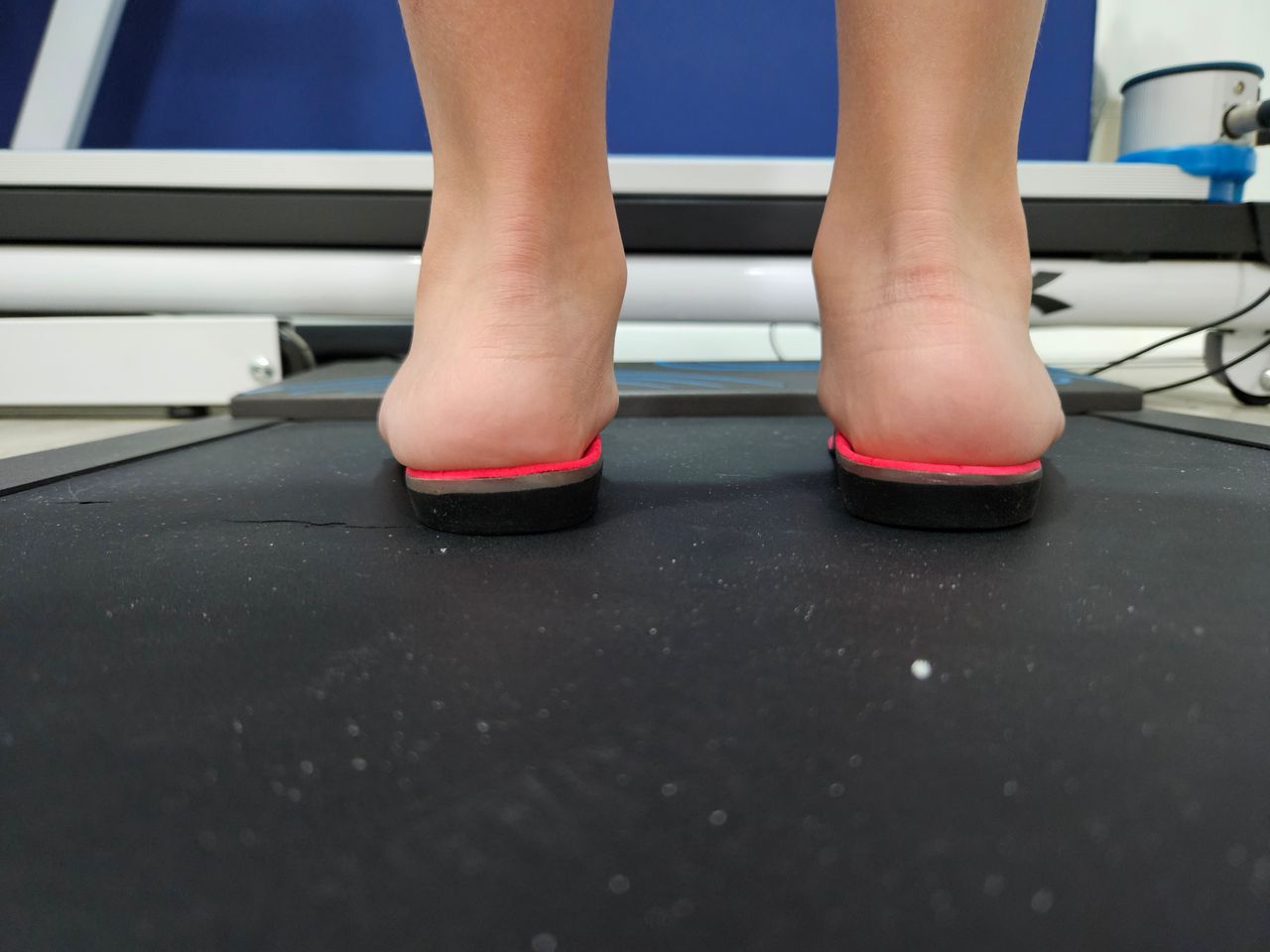 Luis Gandía Zapata-14