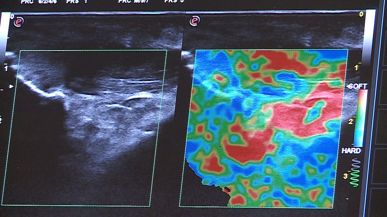 Mariano Caldarella-1