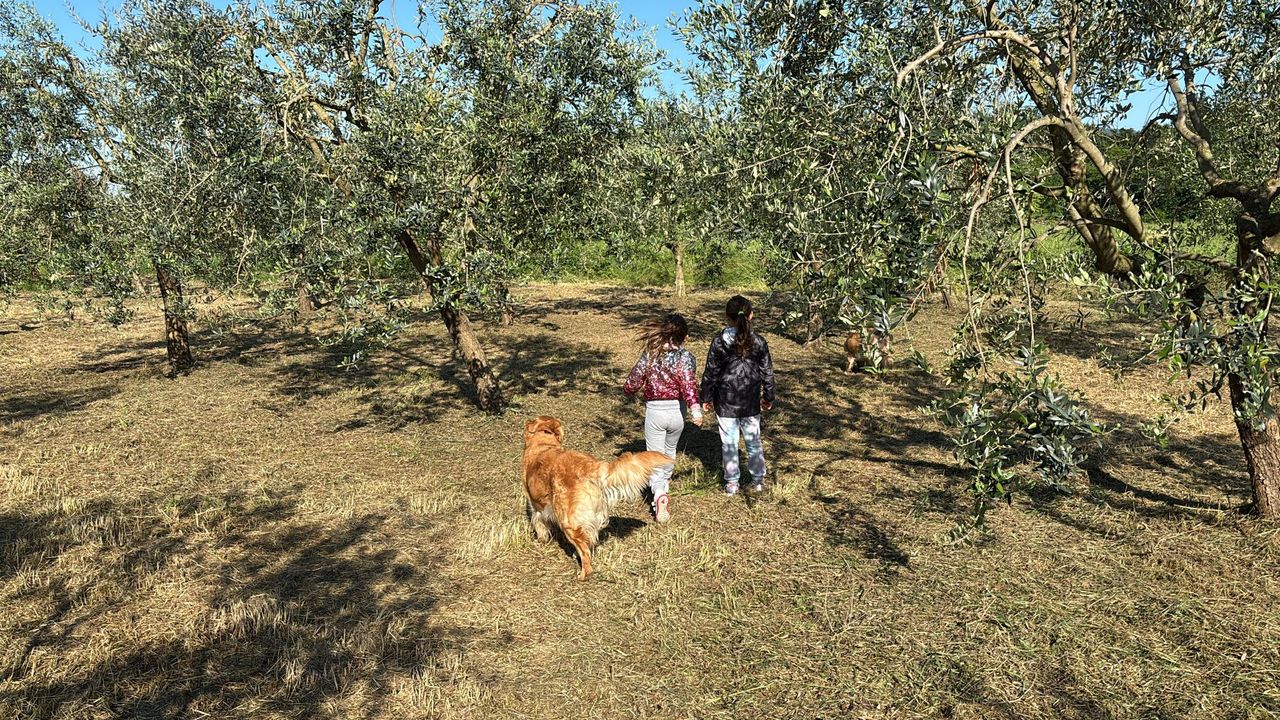 Francesca Archetti-8