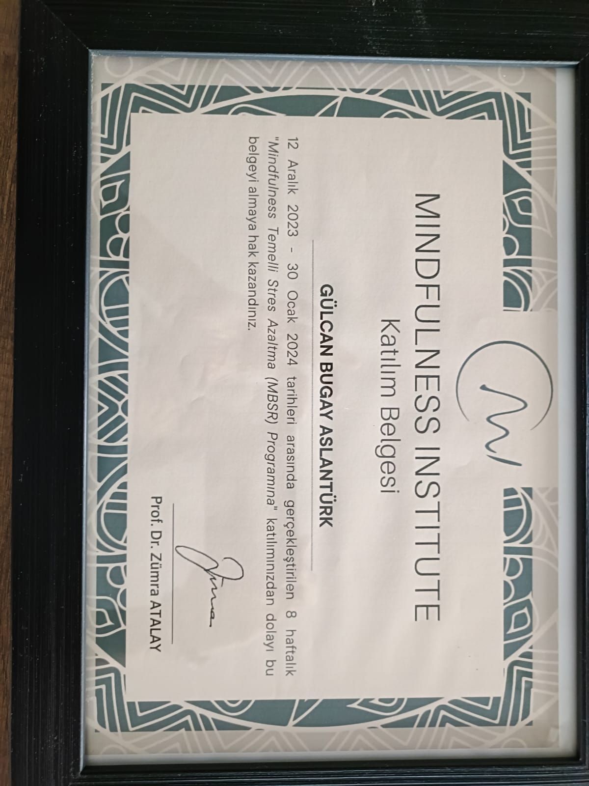 Gülcan Bugay Aslantürk-2