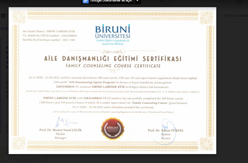 Emine Lamiser Atik-9