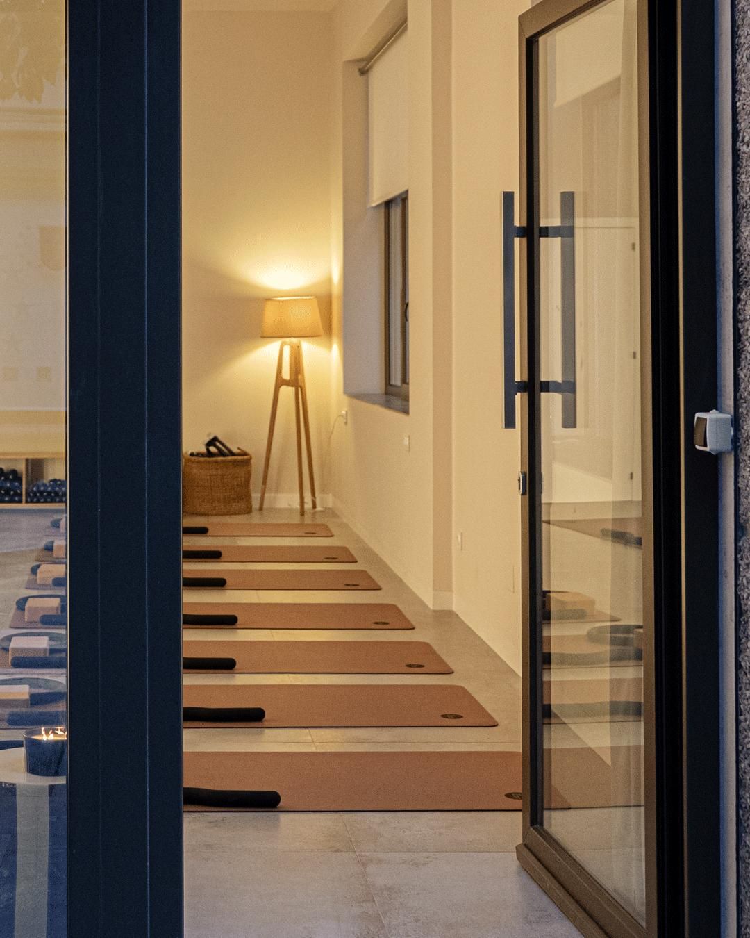 Carmen Zaragoza Lajarin-3