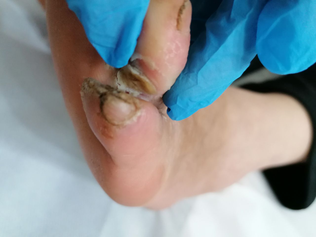 Kassandra Nicolosi-311