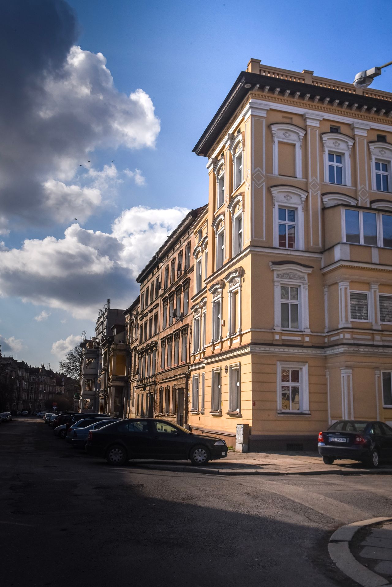 Michał Pacholski -6