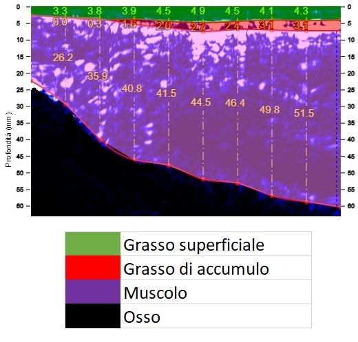 Davide Barosi-0