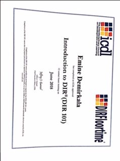 Emine Demirkala Aydemir-0