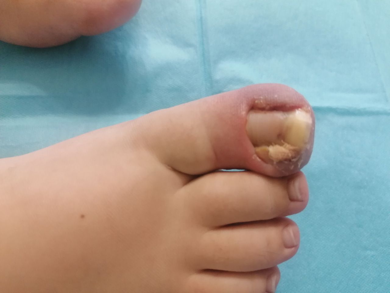 Kassandra Nicolosi-322