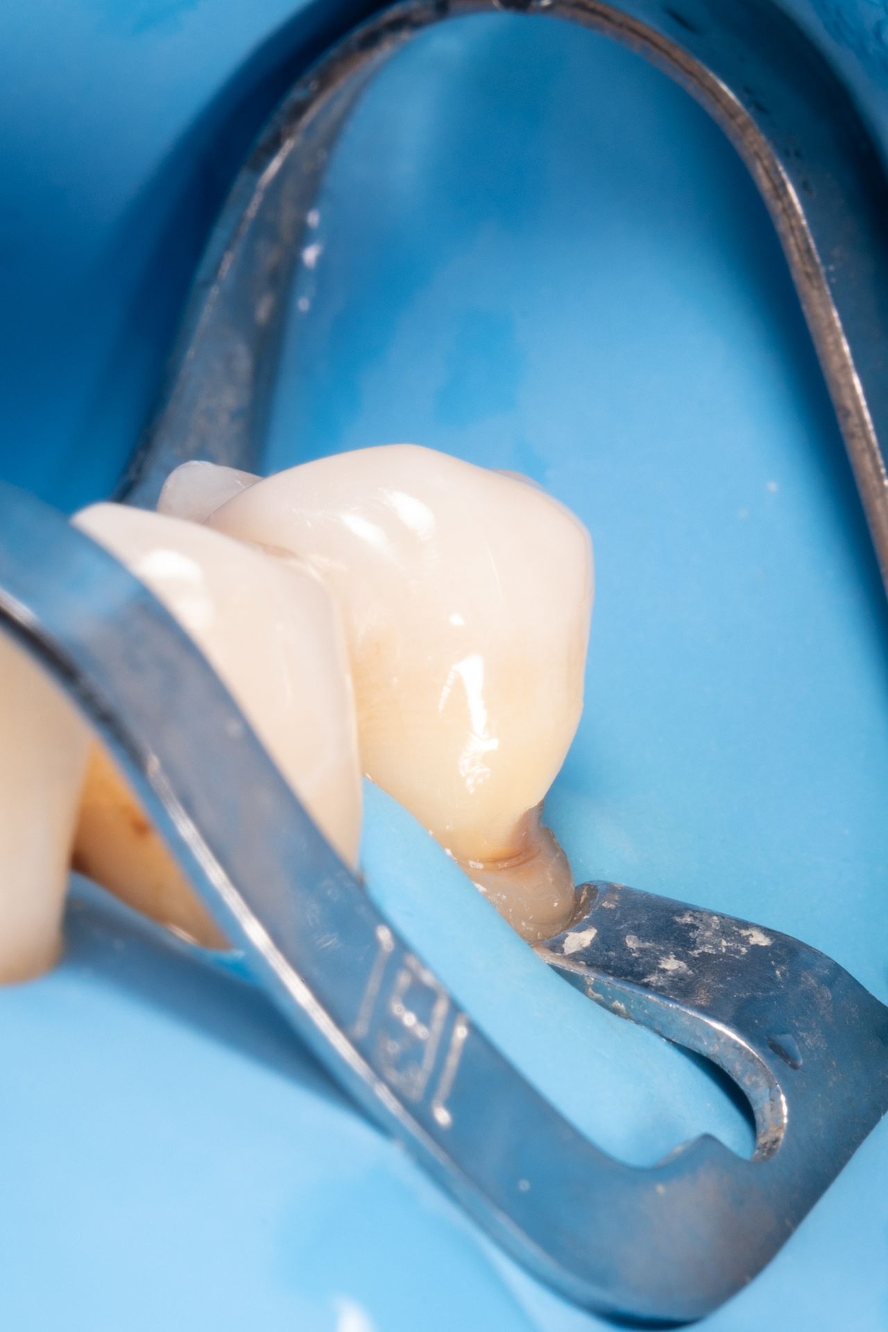 Anastasiya Batushanska Zaborovska-0