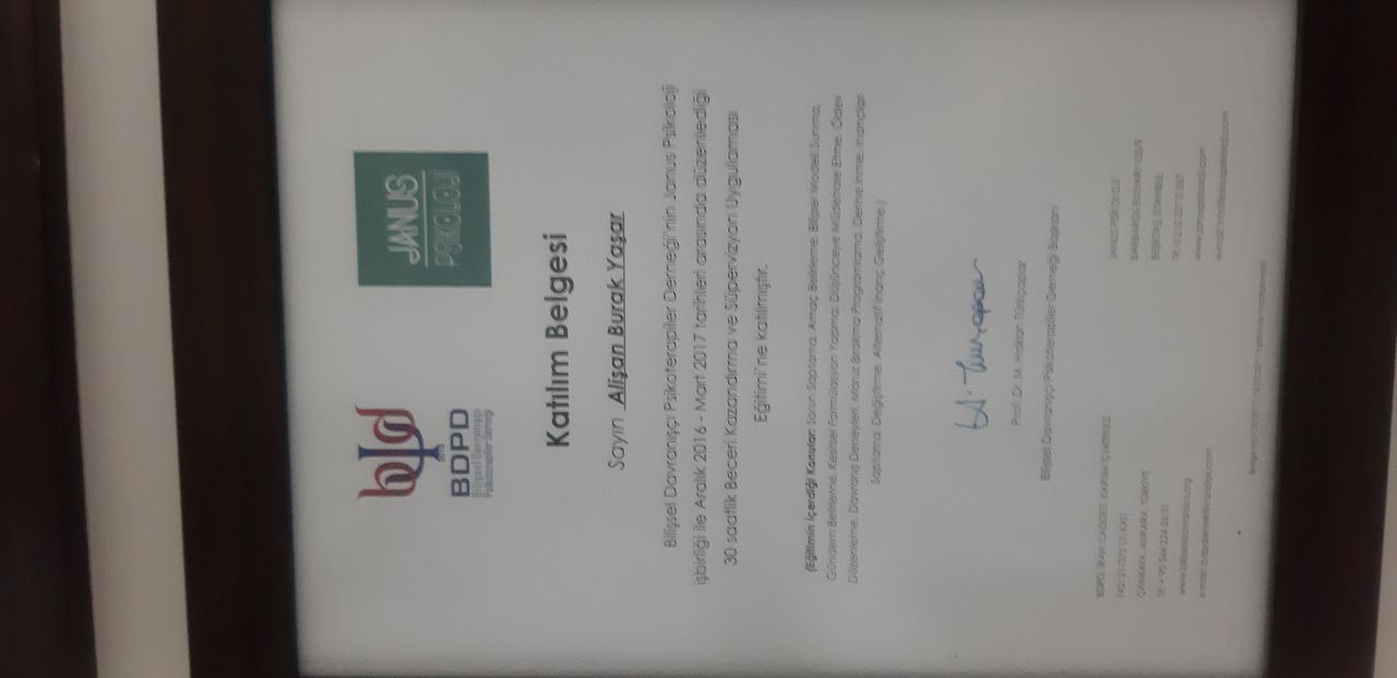 Alişan Burak Yaşar-3