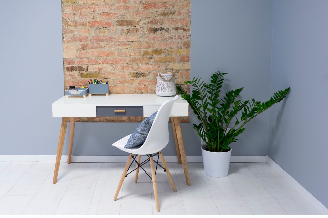 Ewa Gałek-Franczyszyn-2