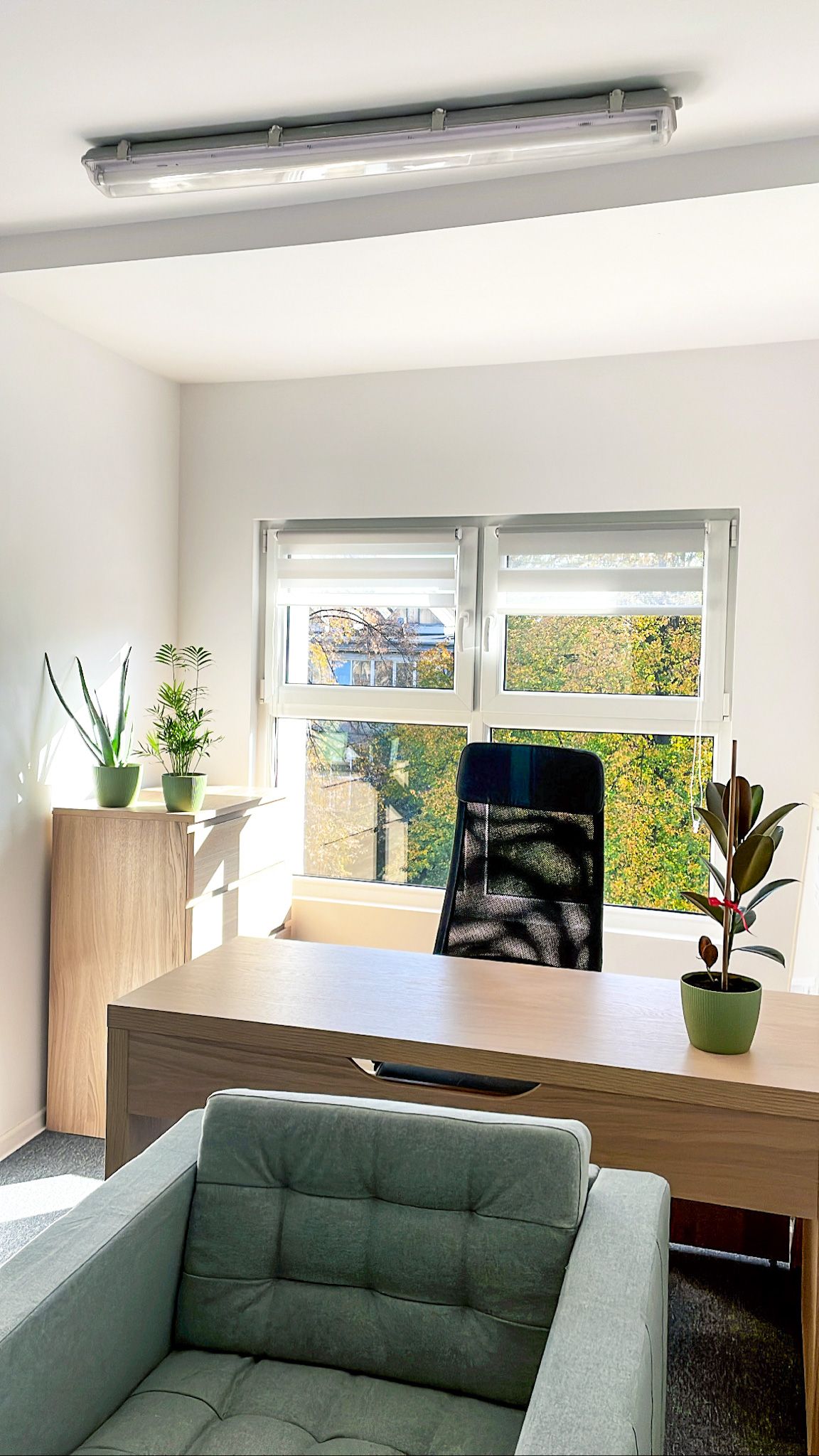 Dominika Miłkowska-1