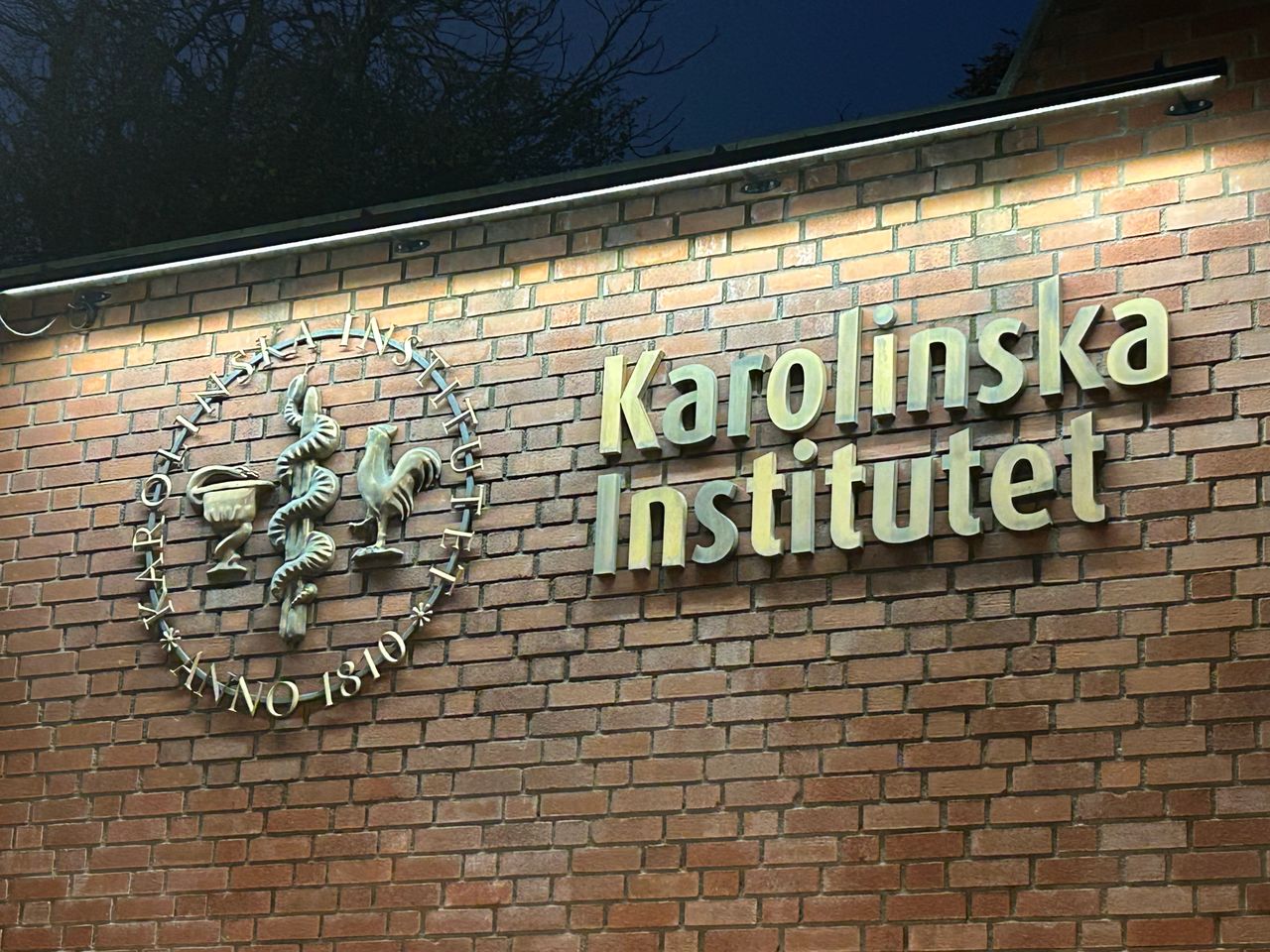 Wioletta Rozmus-Warcholińska-239