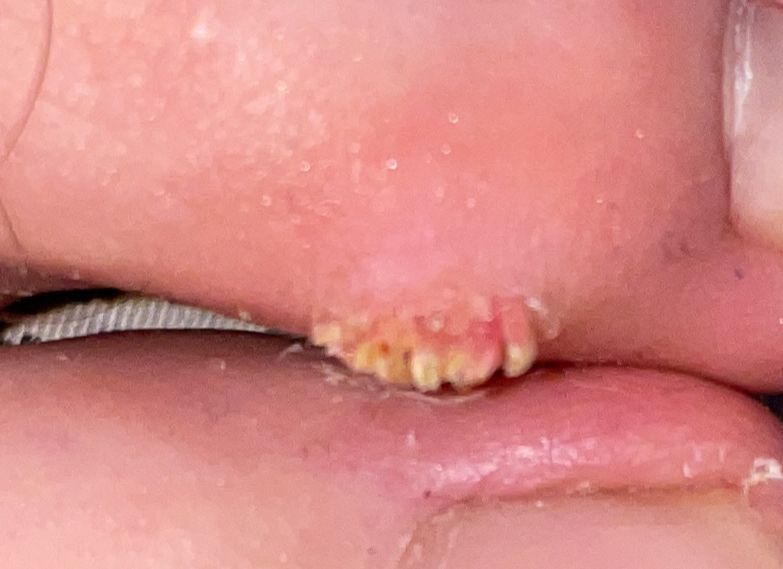 Kassandra Nicolosi-203