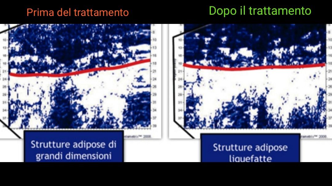 Federica Calicchia-12