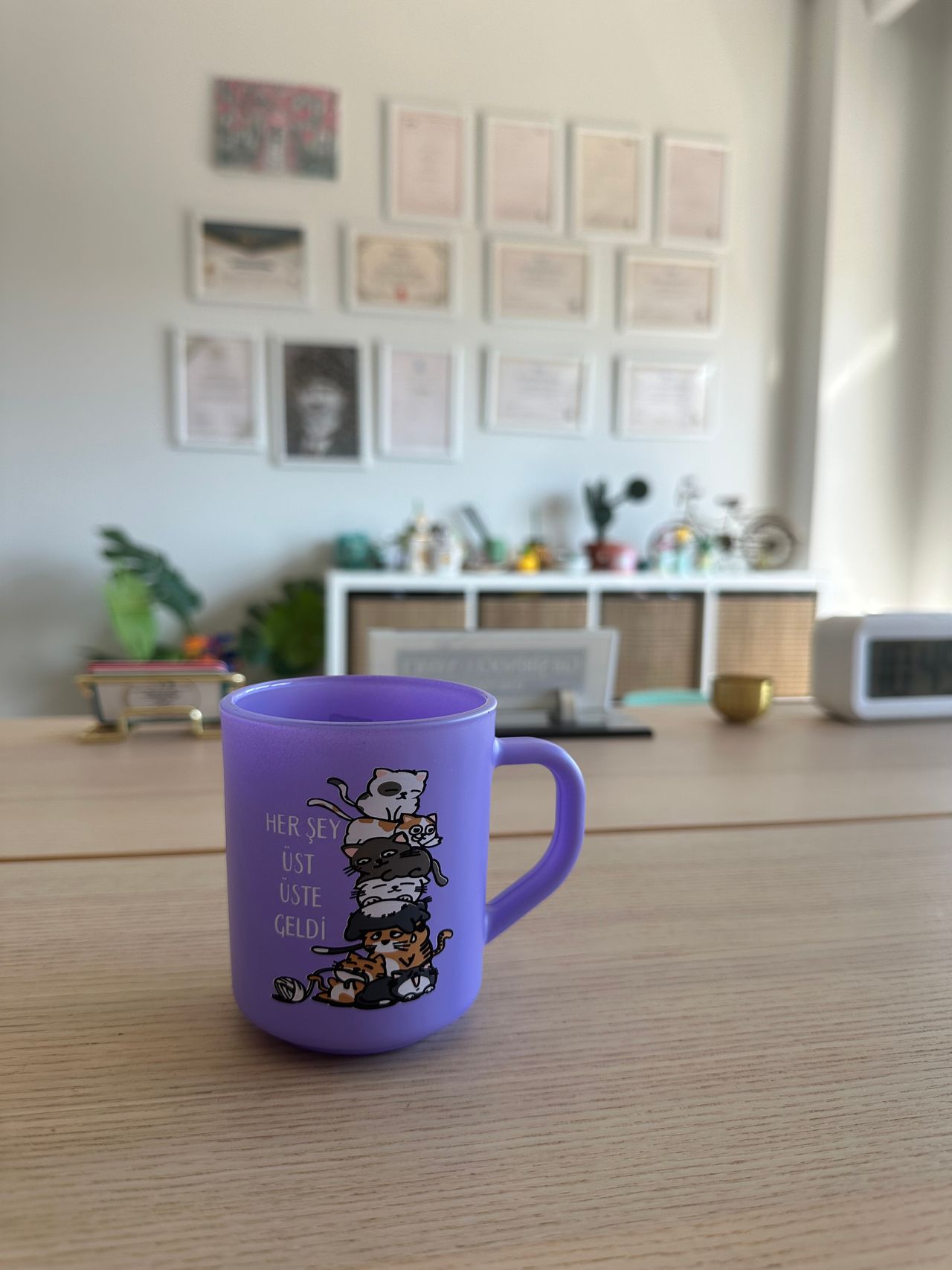 Gül Şirinoğlu Yayıcı-21