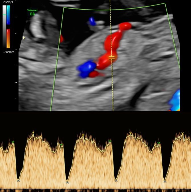 Joanna Krygowska-Zielińska-4
