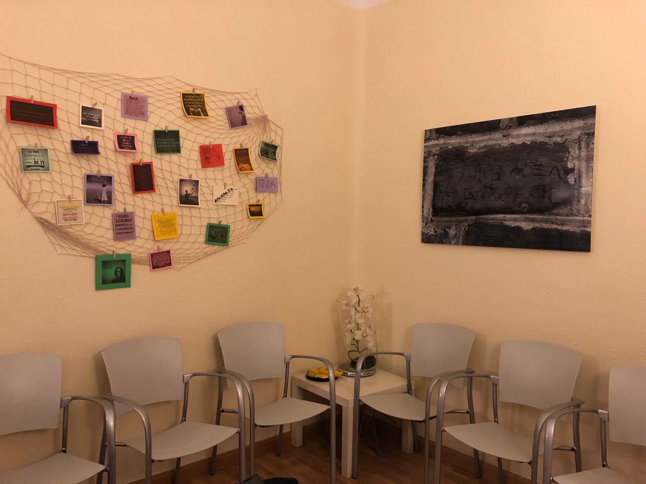 Lourdes Merino Chico-4