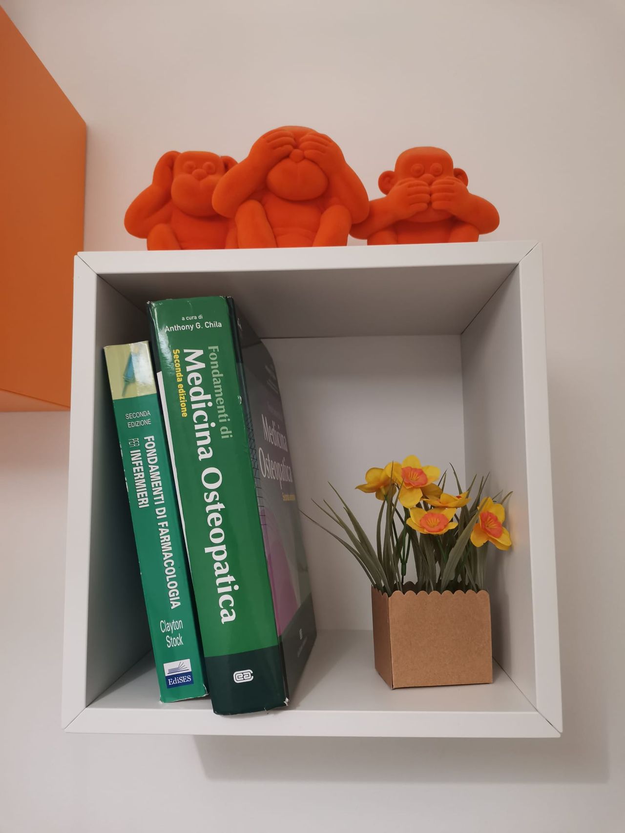 Valeria Pagni Frette-14