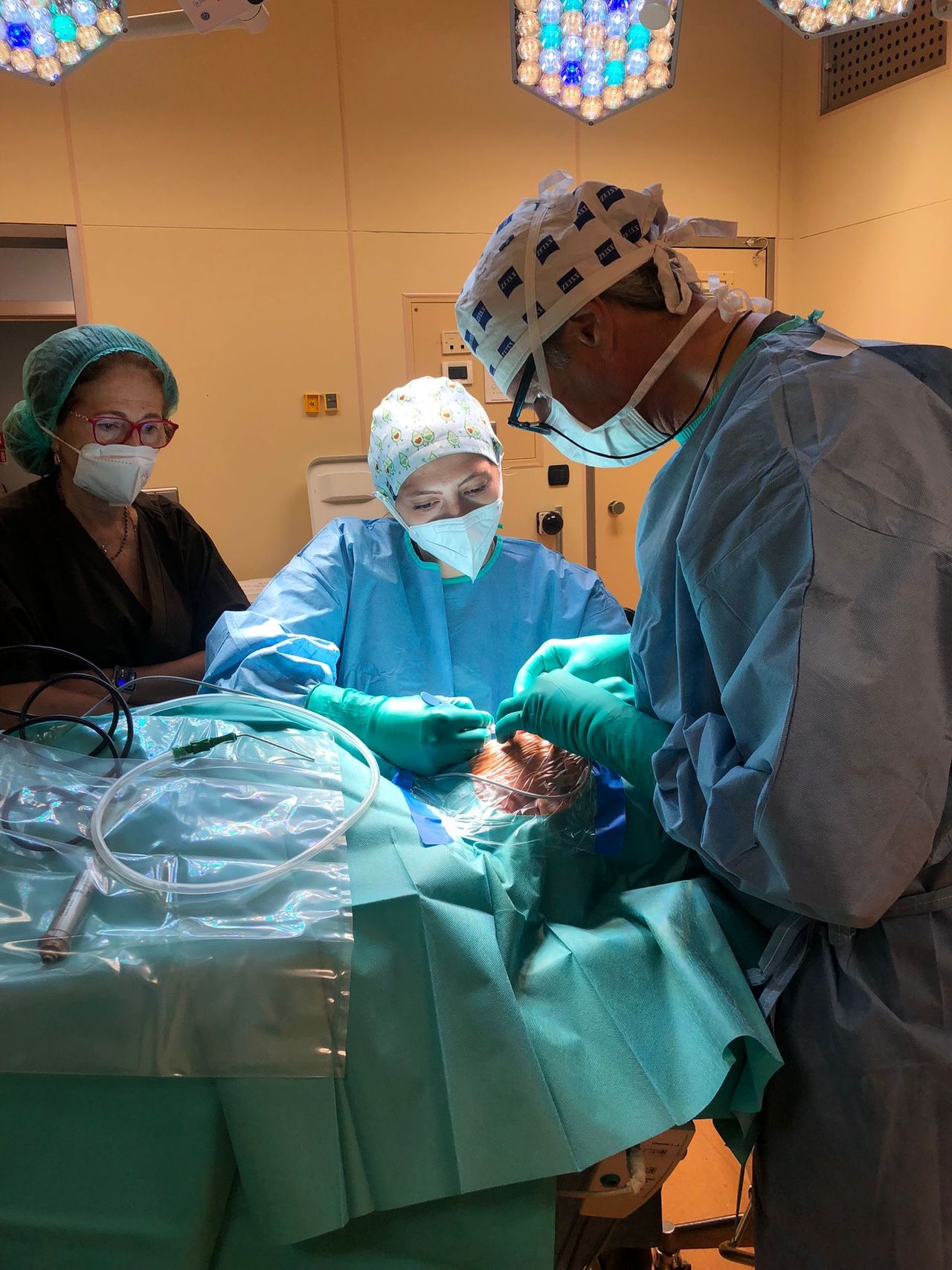 Francesca Dimattia-1