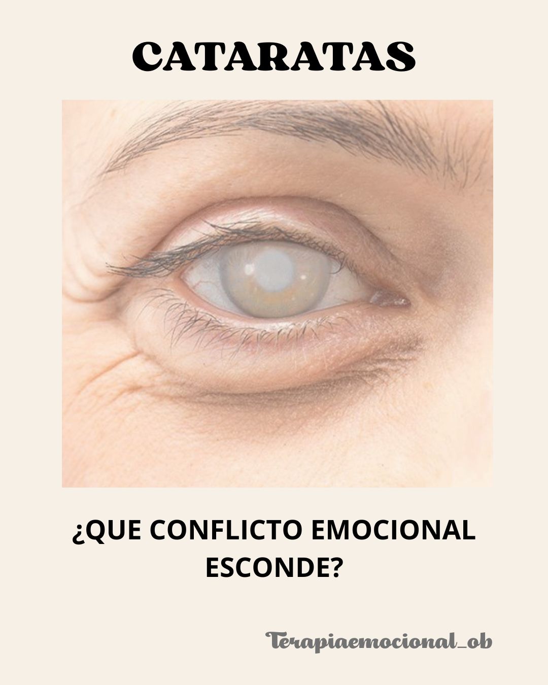 Olga Barberá Monserrat-0