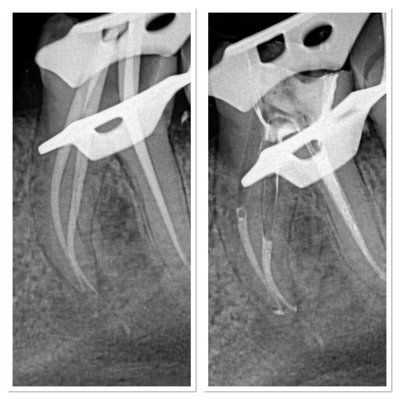 Anna Chmielecka-Borusewicz-0