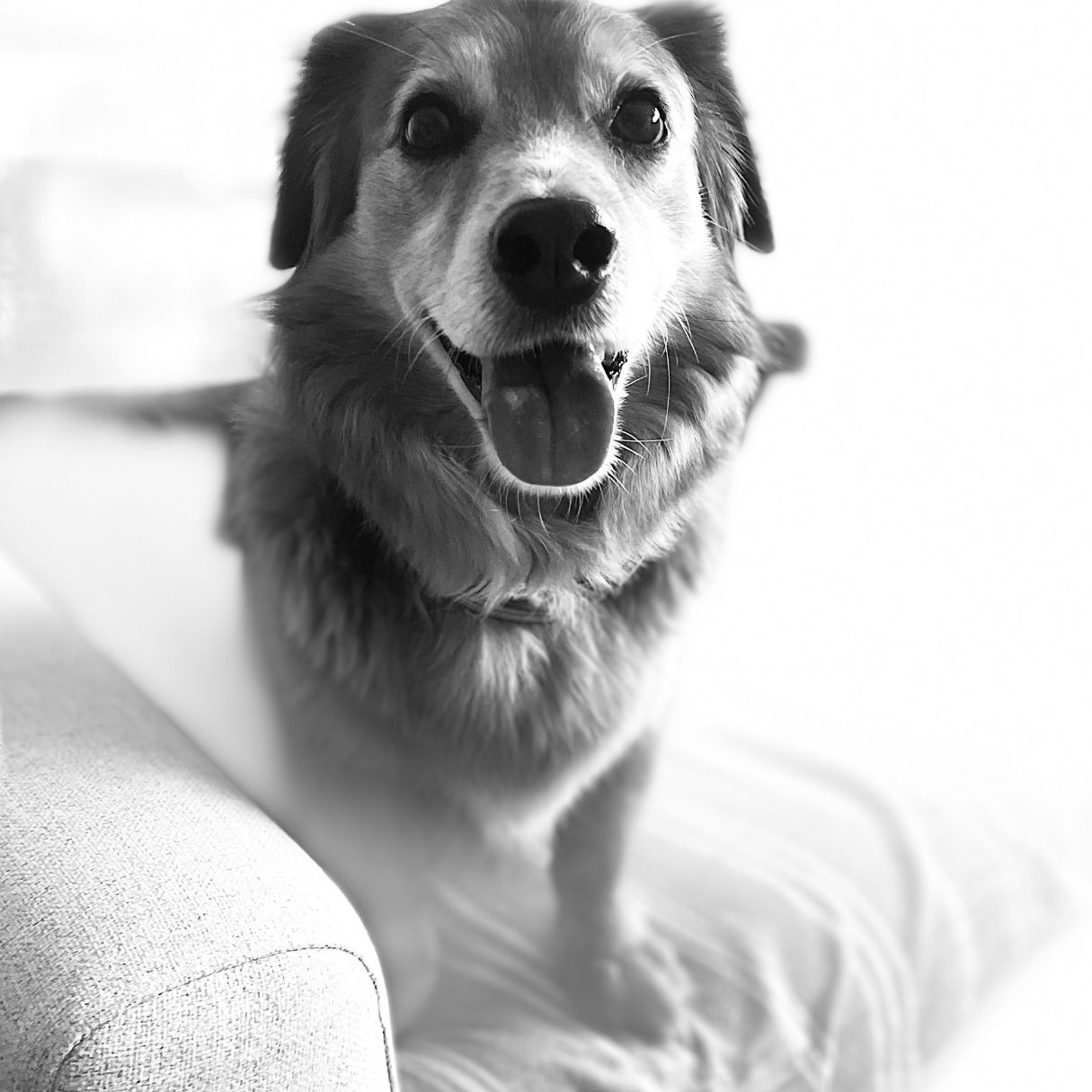 Patricia Gutiérrez Isla-5