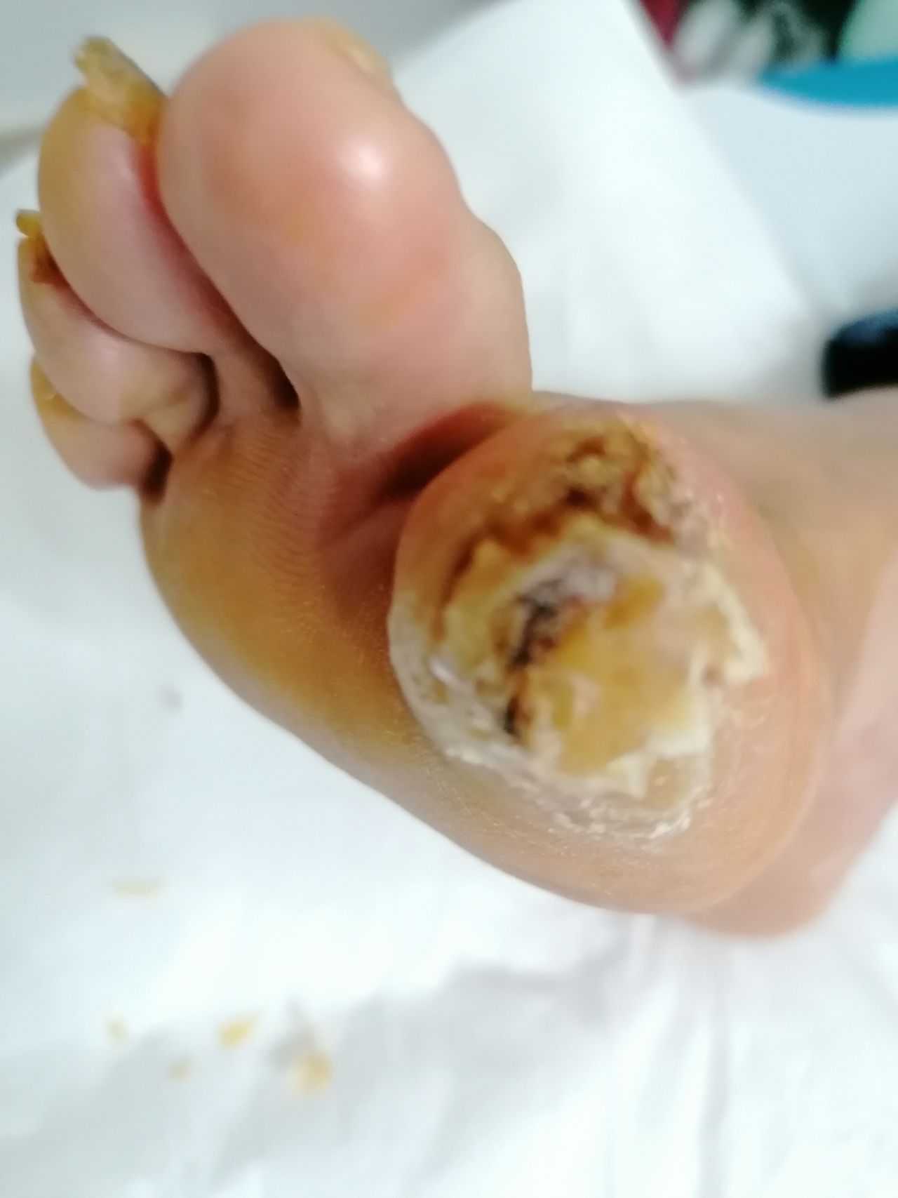 Kassandra Nicolosi-320