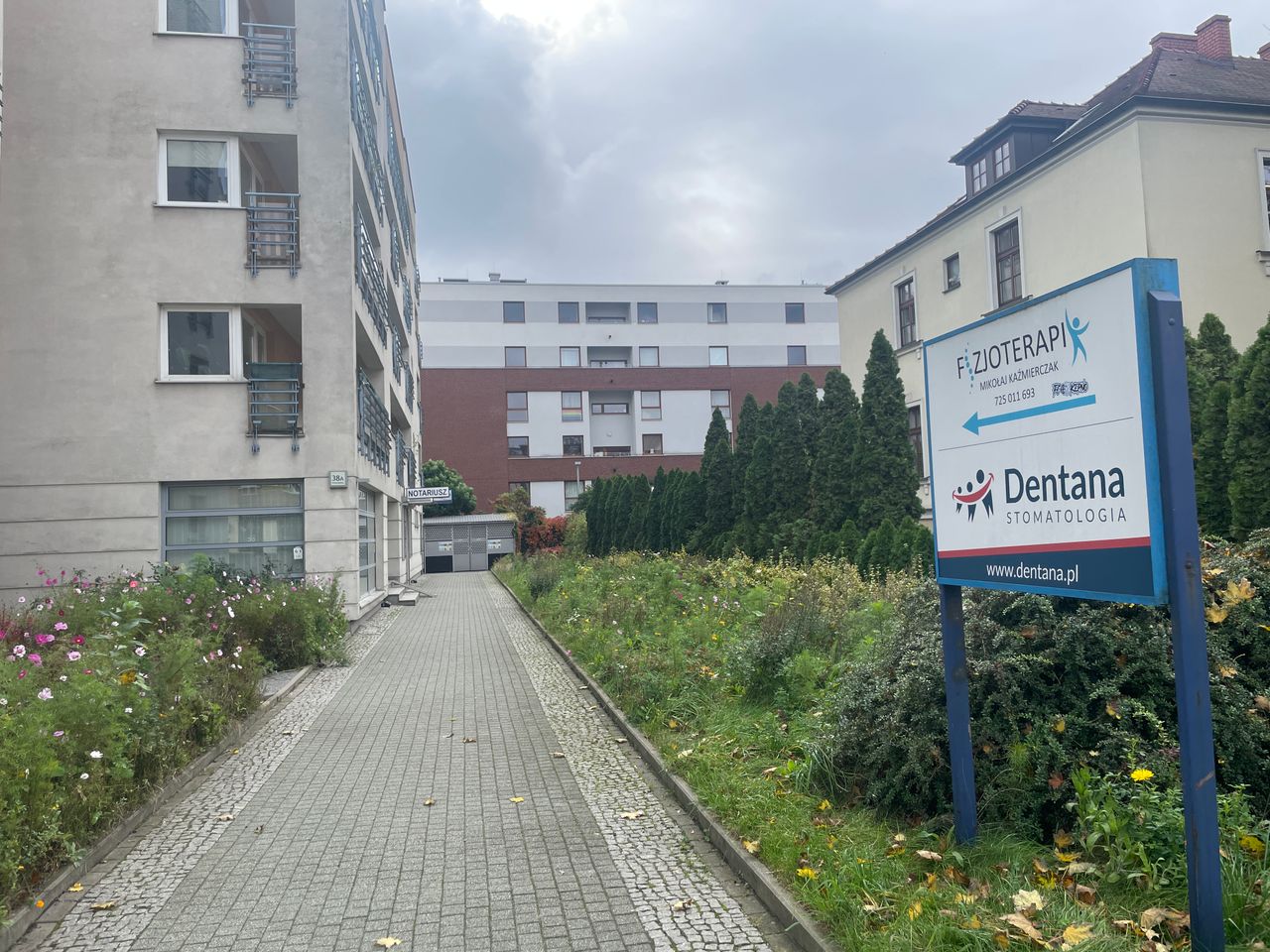 Magdalena Binczarowska - Jerzyk-3