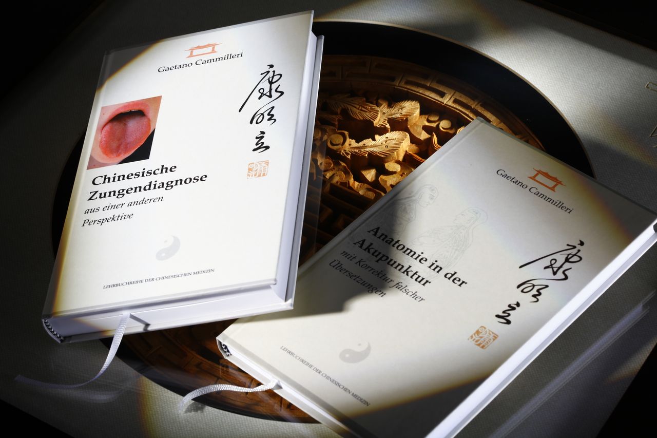 Gaetano Cammilleri Heilpraktiker, Zhong-Yi Bo-Shi (Doktor In Traditioneller Chinesischer Medizin, Klinische Grundlagen Zhejiang Medical University) Osteopathie-3