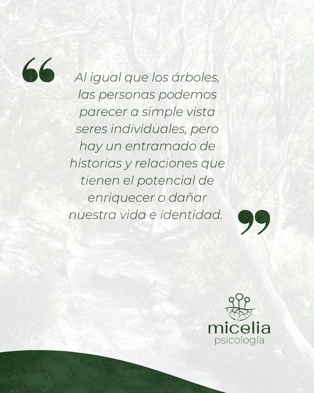 Carolina Martín Vázquez-11