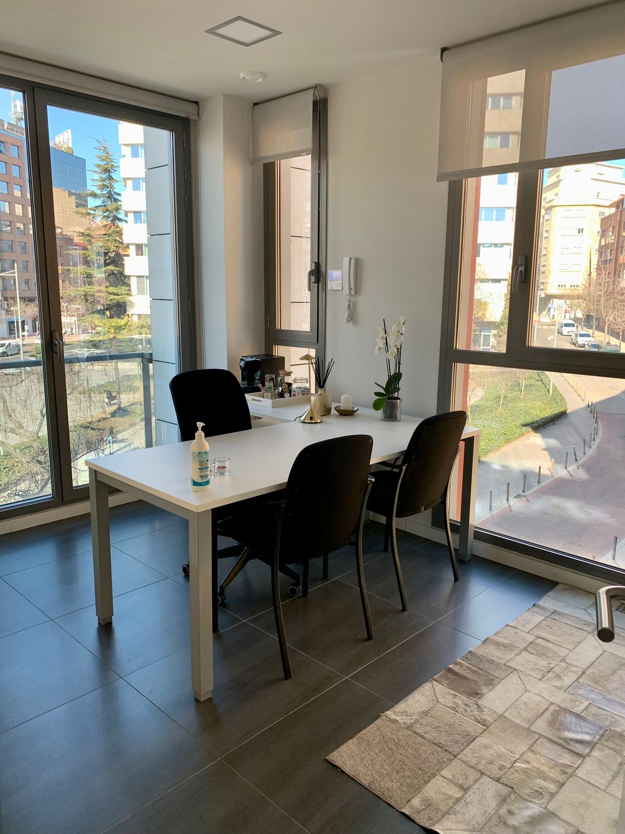 Laia Companys Macià-3