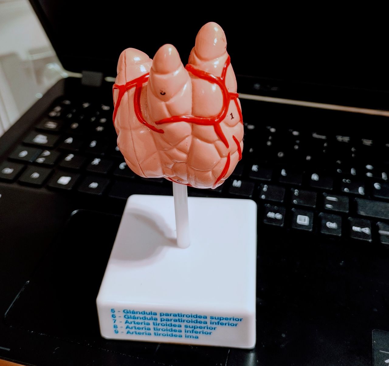 Roberto Domínguez Fernández-0