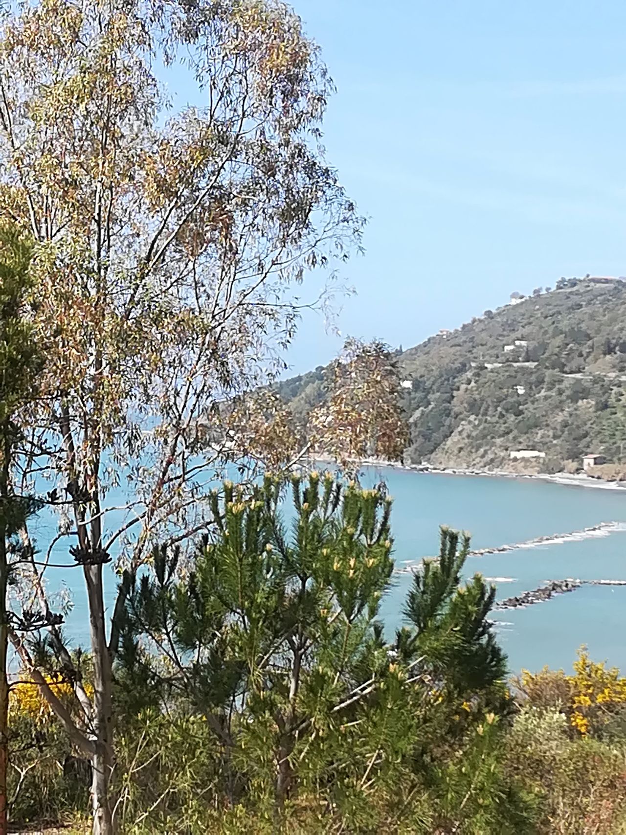 Caterina Cresciullo-6