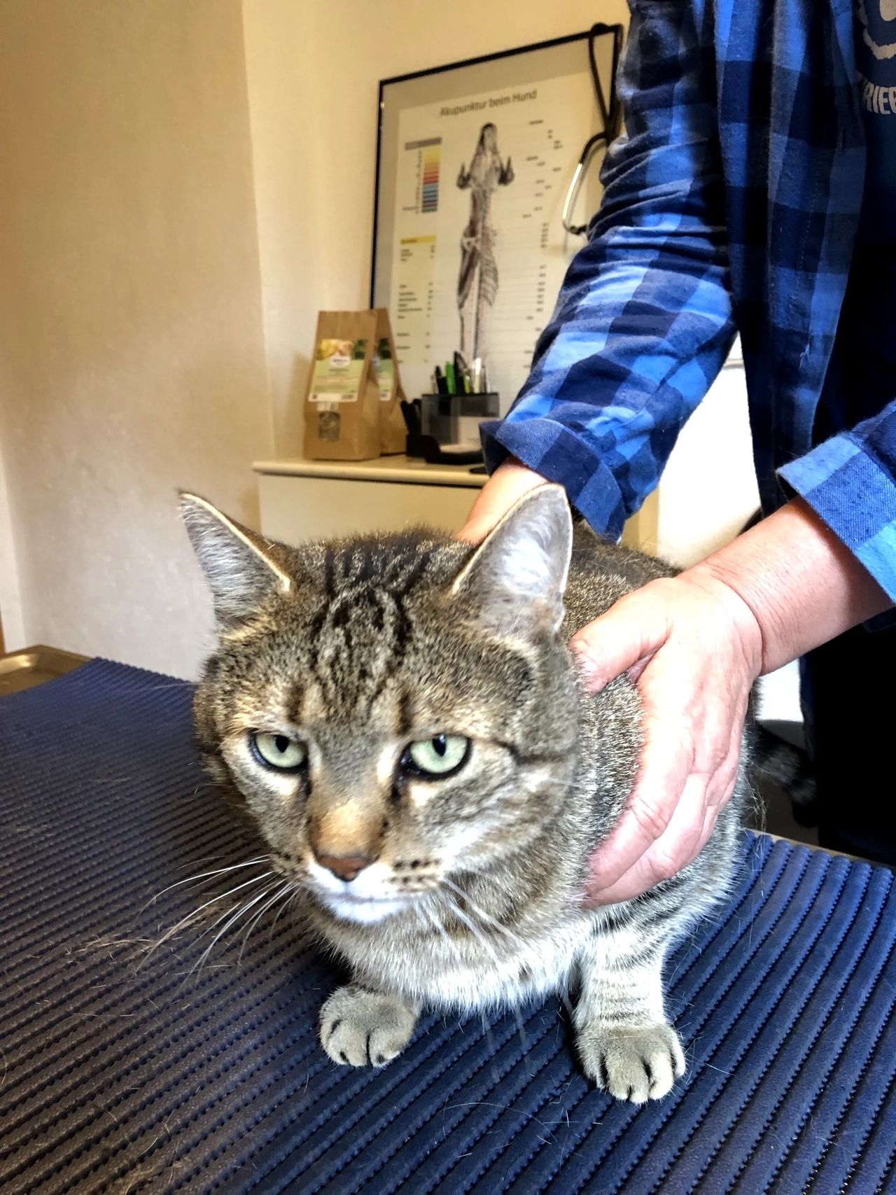 Daniela Zimmermann-8