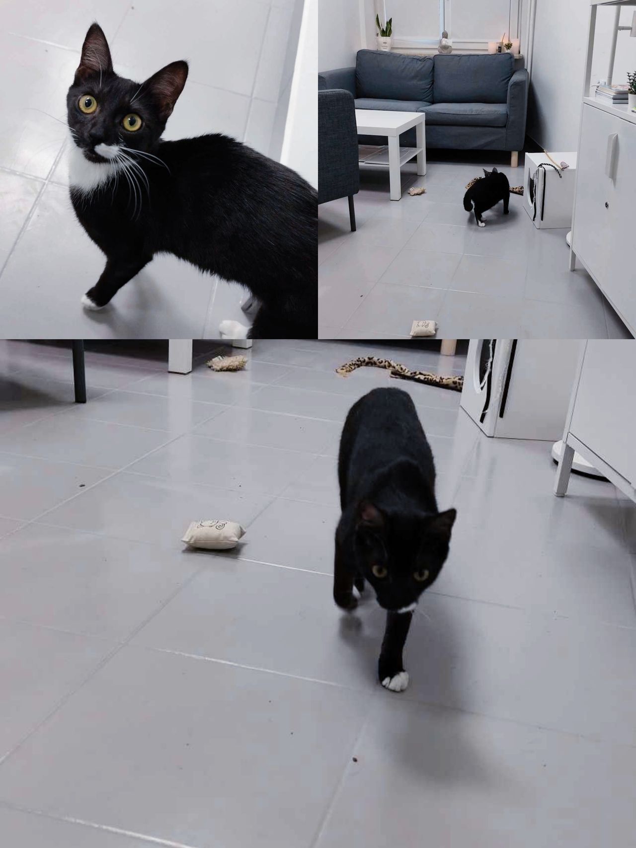 Daria Maciejewska-18