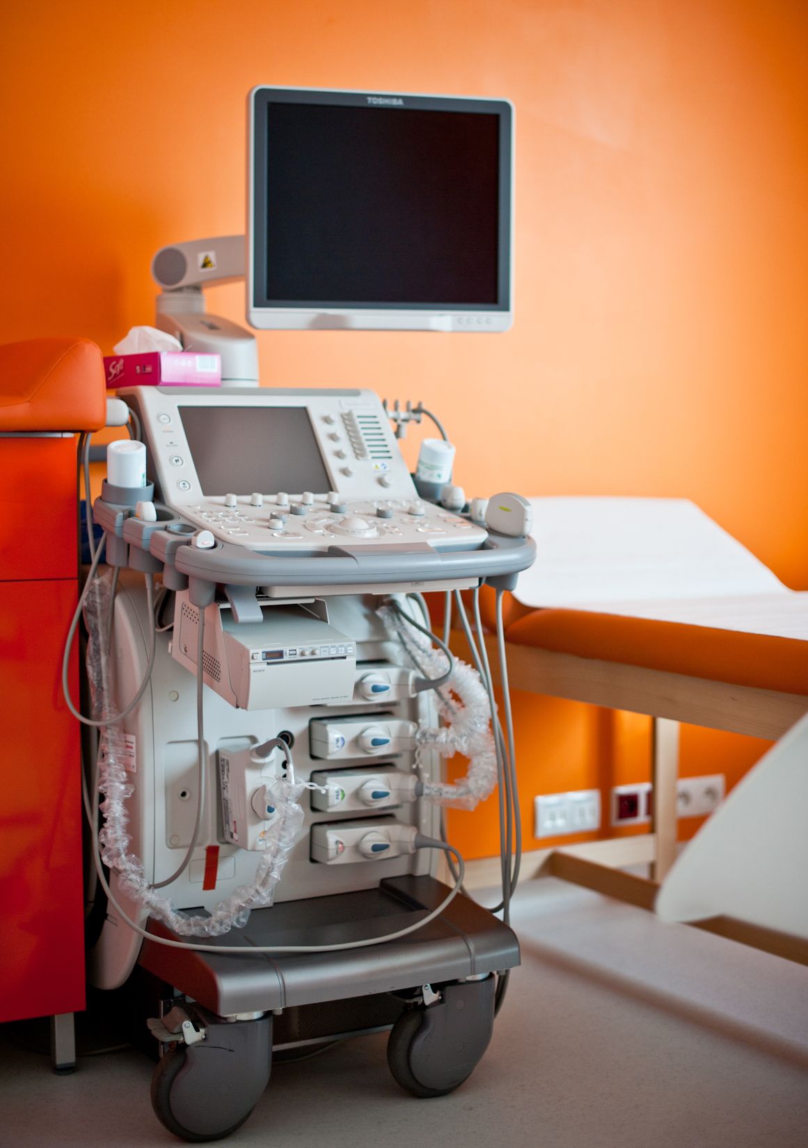 Wojciech Michał Glinkowski-8