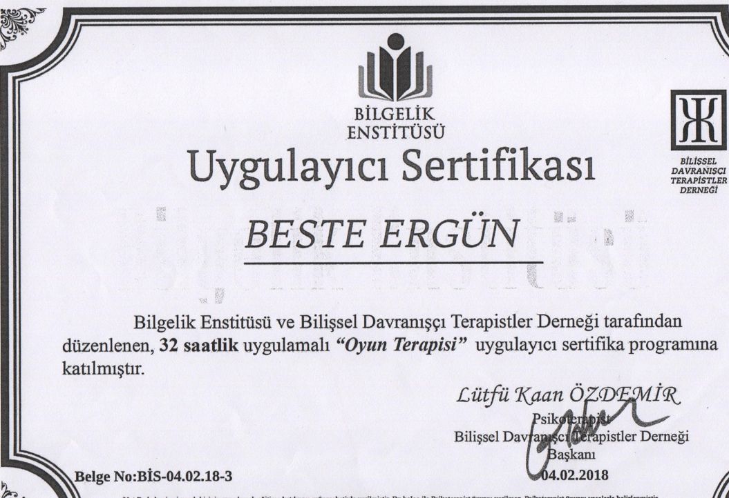 Beste Ergün Özel-21